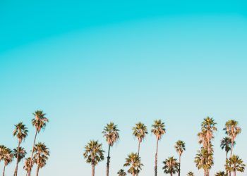 Photo sports analysis