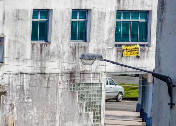 Photo investment opportunities