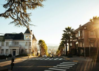 Photo SUV comparison