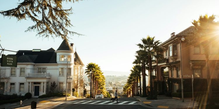 Photo SUV comparison