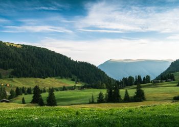 Photo IonQ Acquires Seed Innovations