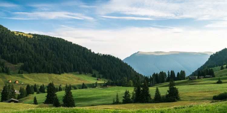 Photo IonQ Acquires Seed Innovations