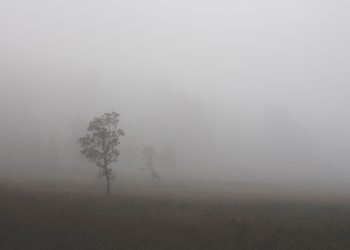 Photo Long COVID Brain Fog