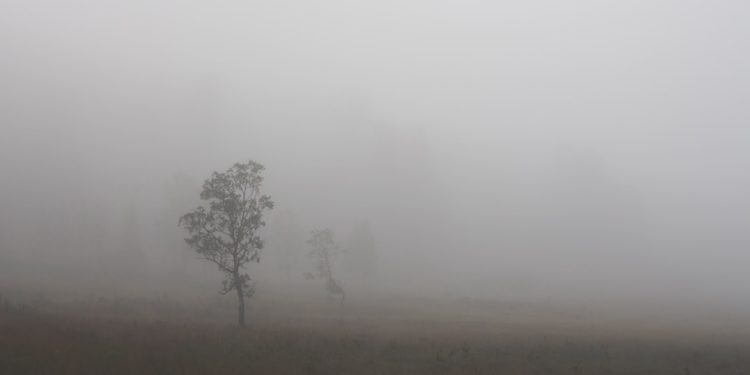 Photo Long COVID Brain Fog