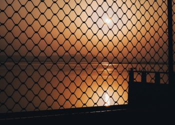 Photo Suns Beat Nets