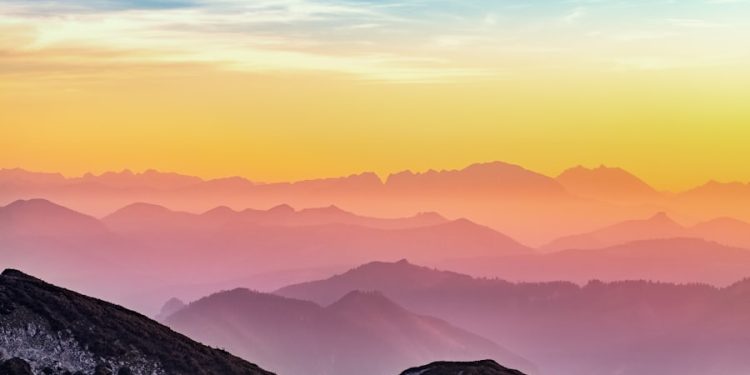 Photo bluejays aggregator